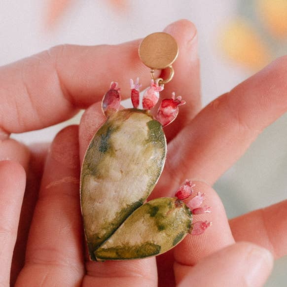 Small Cacti for wholesale by Maria rosua