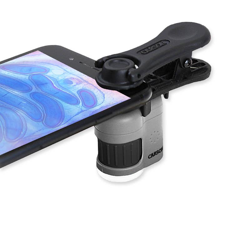 Microscópio De Bolso Micromini 20X Com Iluminação LED E UV por atacado de Carson EU