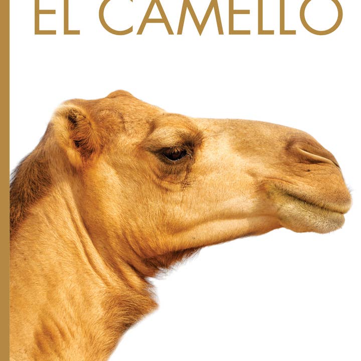 The Creative Company – Engroshandel Bog om natur og friluftsliv – Dyreplanet: Kamelen