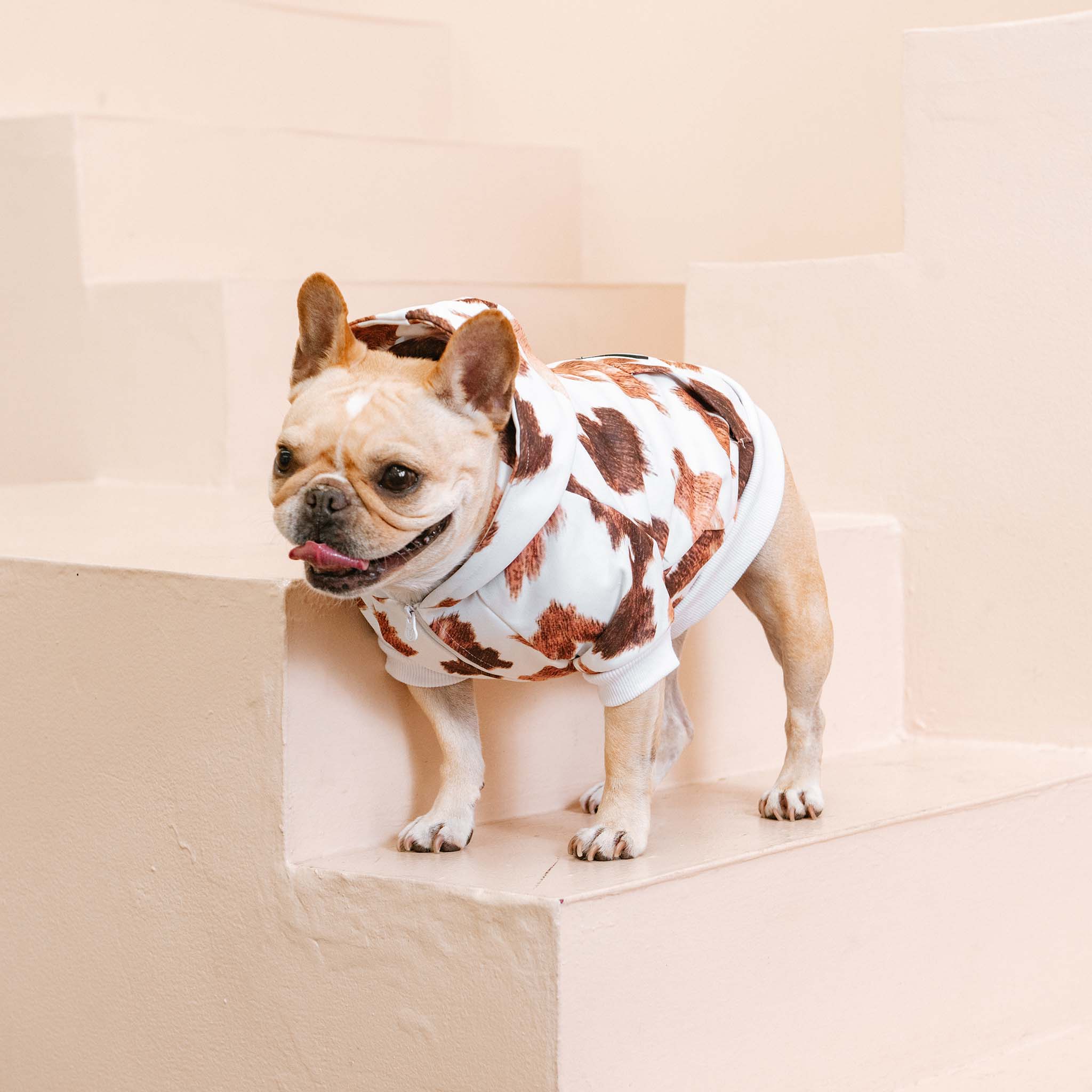 Frenchie - Wholesale Hondenhoodie - Hond - Frenchie Hondenhoodie - Moo4