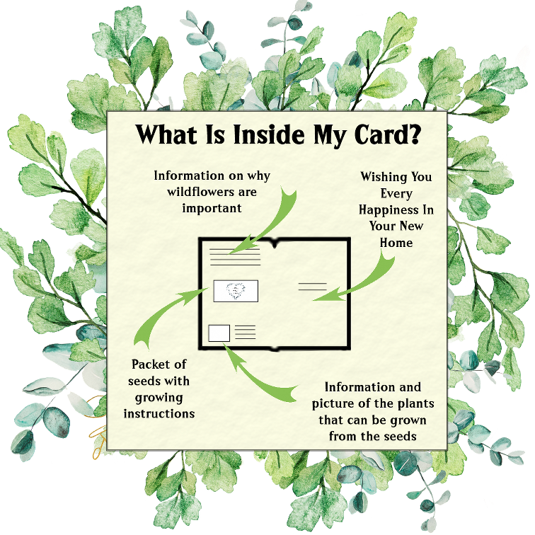 Seeds with Love – wholesale Everyday greeting card – New Home Greeting Card With A Gift Of Seeds2