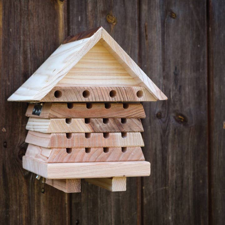 Wildlife World Ltd - Wholesale Bird House - Interactive Solitary Bee Hive