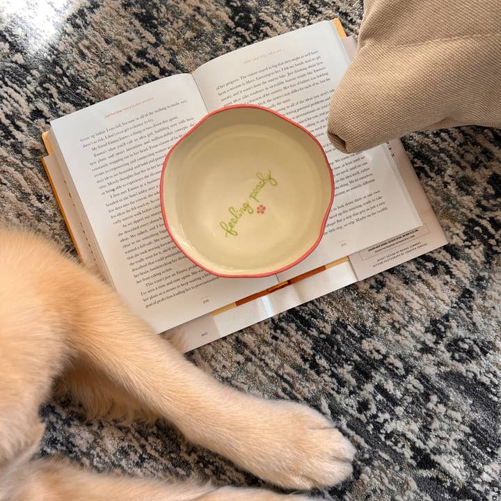 Peachy Dogs – wholesale Pet bowl – Cat/dog – Dog Bowl x Monokiini1