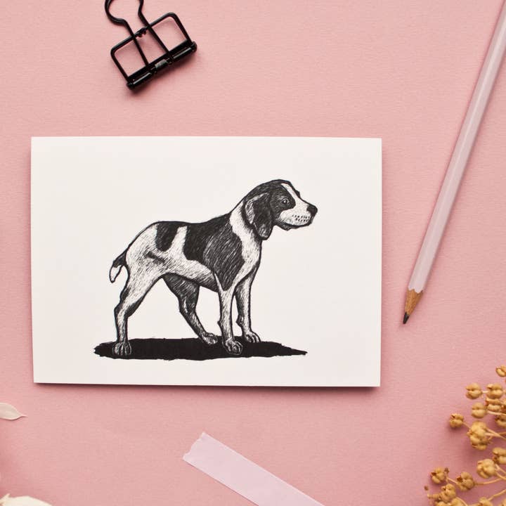 Katja Rub - Wholesale Postcard - Postcard Beagle