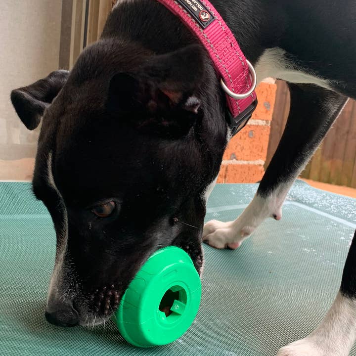 Rover Pet Products - Wholesale - Coffee Cup3