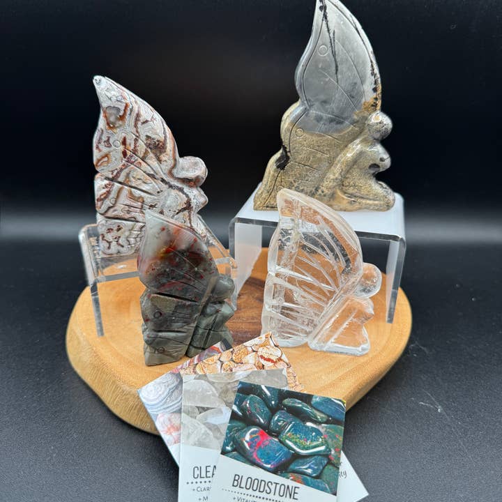 4 pc Gem fairy Crazy lace G941 Bloodstone Picture jasper for wholesale by The 7 Directions