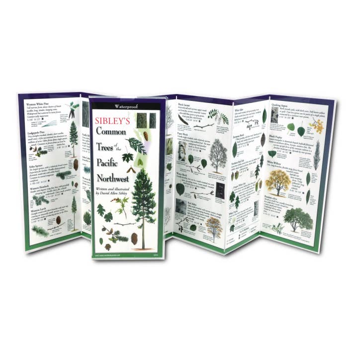 Earth Sky + Water - Vente Livre sur la nature et les activités de plein air - Arbres de Sibley du nord-ouest du Pacifique1