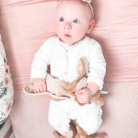 Jomanda Soft Toys & Accessories - Wholesale Security/Cuddle Blanket - Baby - Bunny Baby Plush Soft Toy Soother Comforter Brown 29 X 29CM