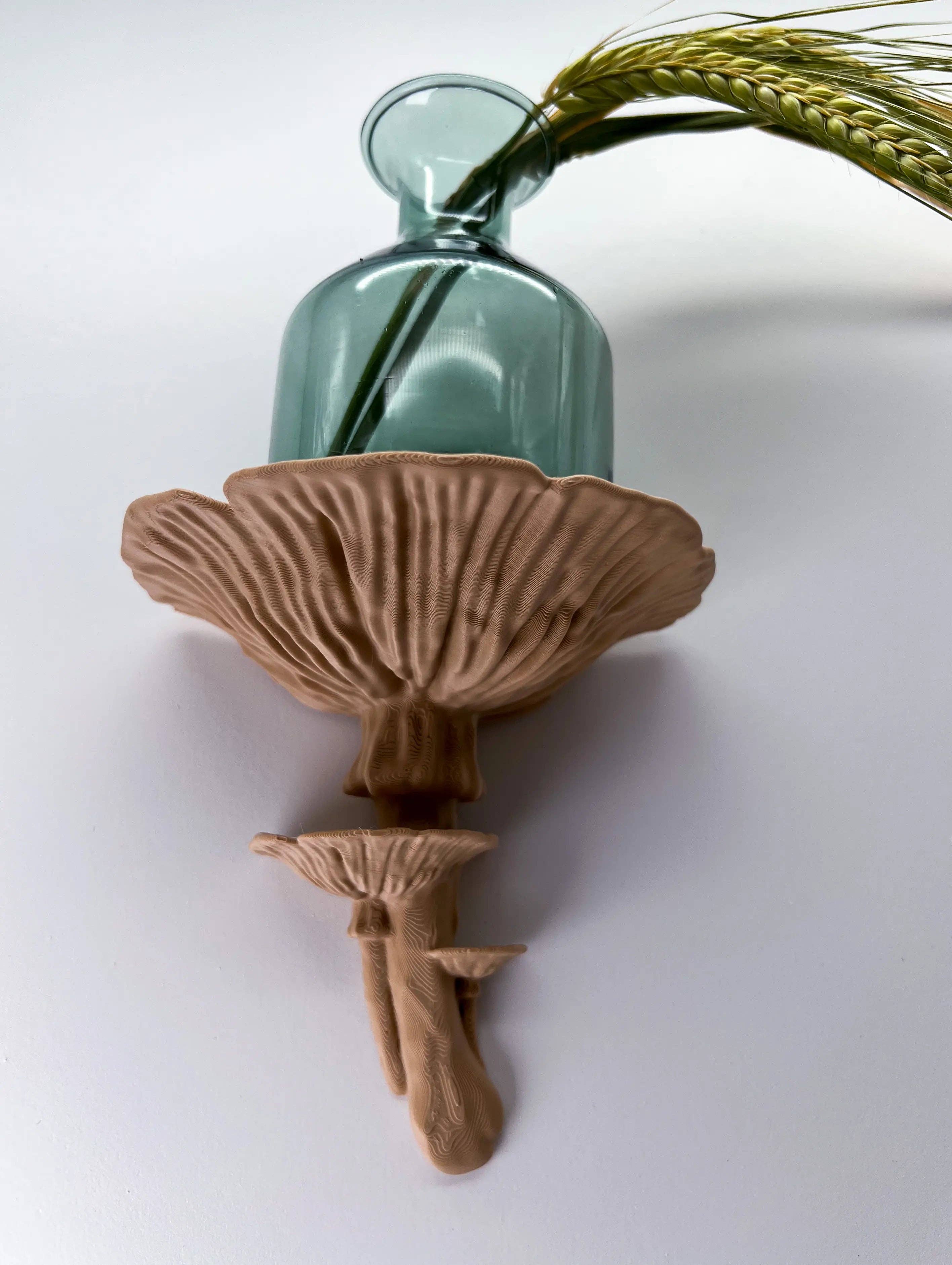 Roomberry - Wholesale Wall Mounted Shelf - Amanita Mushroom Wall Shelf – Floating Shelf for Stylish Decor2