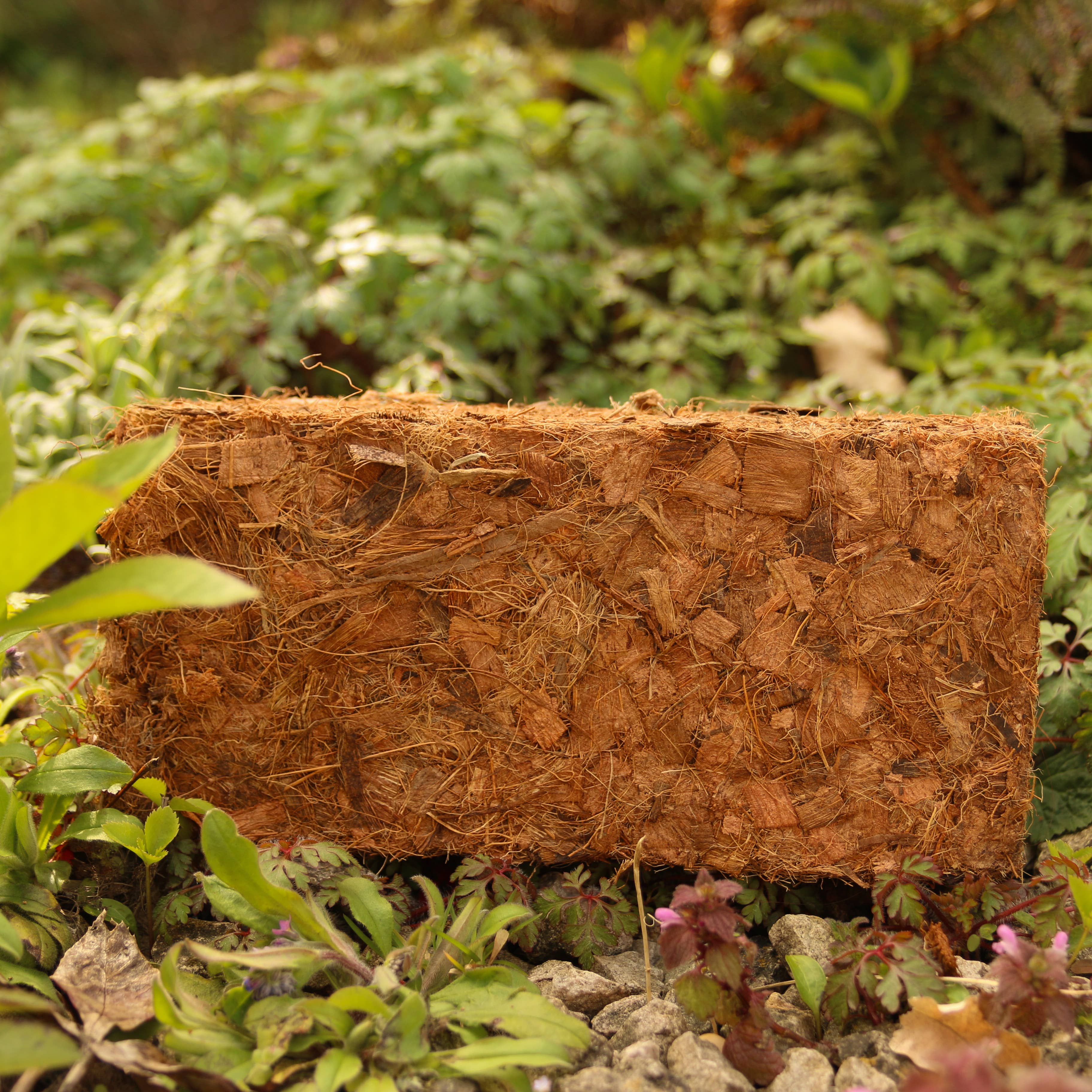 CoirProducts.co.uk of Salike Limited – wholesale Planting/potting soil – 500g Coco Chips brick Coirproducts Cpuk1