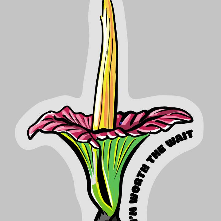 1.25" Talking Plant Pin -- Corpse Flower "I'm Worth the Wait for wholesale by Tasha Fay