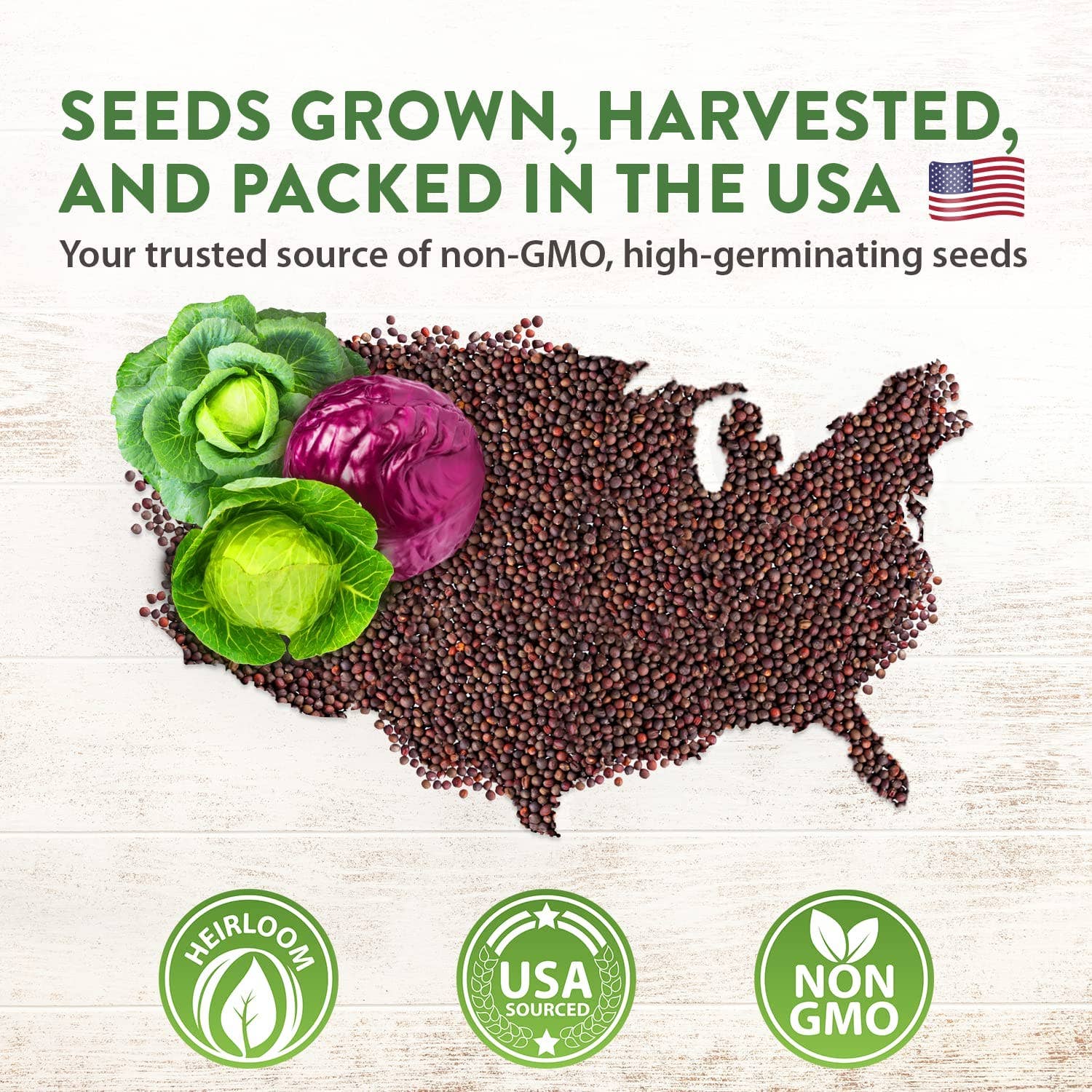 Homegrown Garden - Wholesale Plant Seeds - Non-GMO Vegetable Seeds - 7 Varieties Cabbage Seeds8