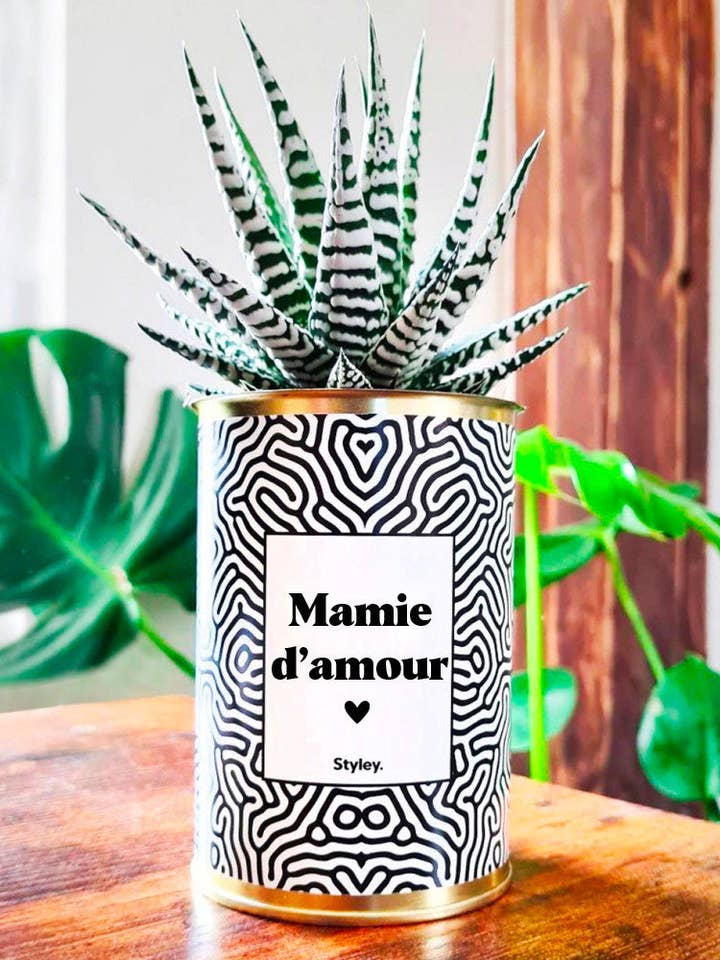Mamie D'amour - Cactus for wholesale by Styley