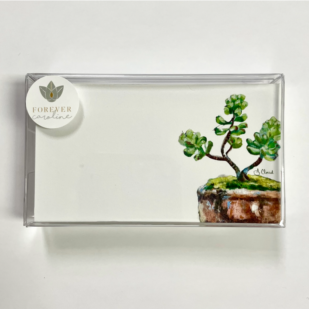 Forever Caroline LLC - Wholesale Stationery/notecard set - Succulent Plant "Love Notes" | Pack of 60 Tiny Cards0