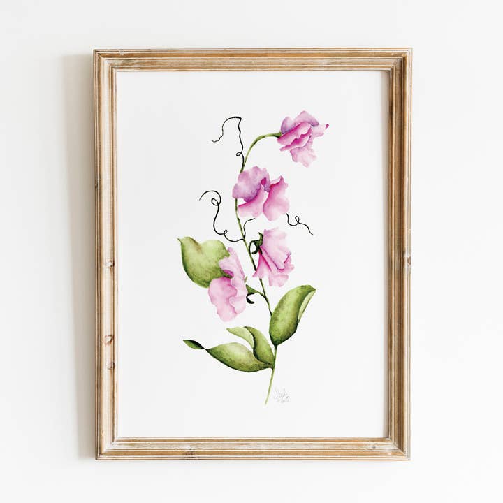 Sweet Pea Watercolor Print for wholesale by Sarah Jane Studio Art