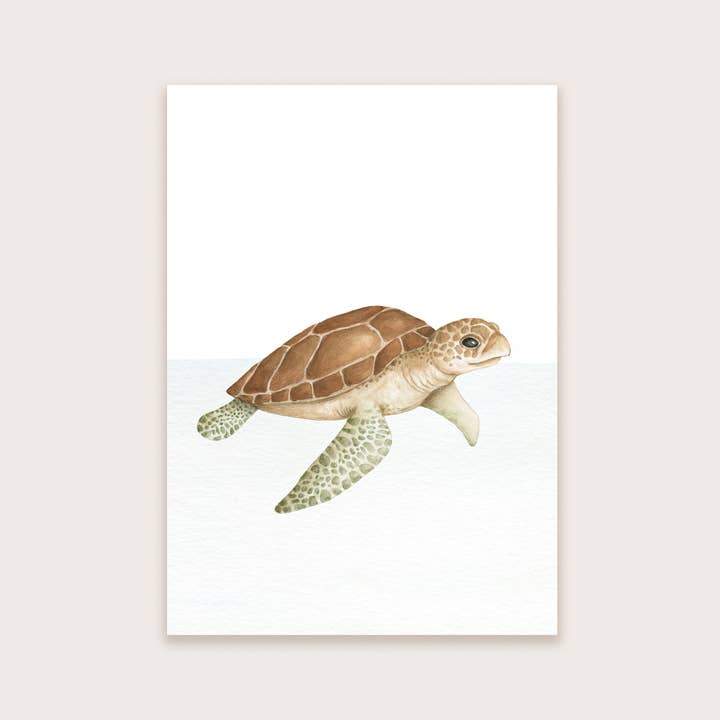 Postcard turtle for wholesale by Appeloogje