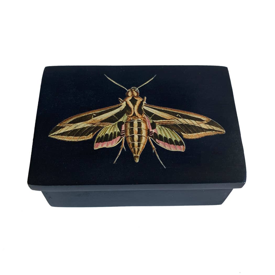 Madison Bay Co. - Historical Home Decor Reproductions - Wholesale Jewelry Box/Organizer - Sphinx Moth Black Soapstone Trinket-Jewelry Box, 3"