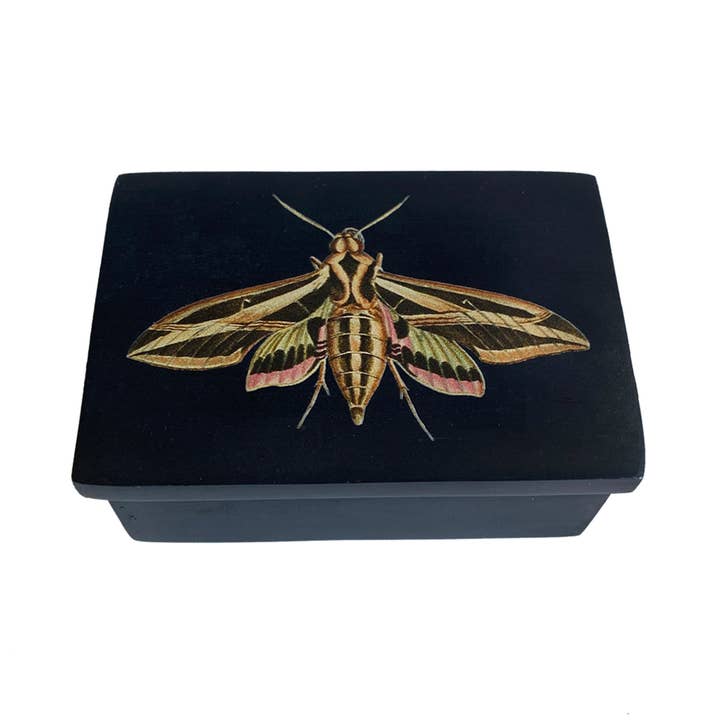 Madison Bay Co. - Historical Home Decor Reproductions - Wholesale Jewelry Box/Organizer - 3" Sphinx Moth Black Soapstone Trinket-Jewelry Box