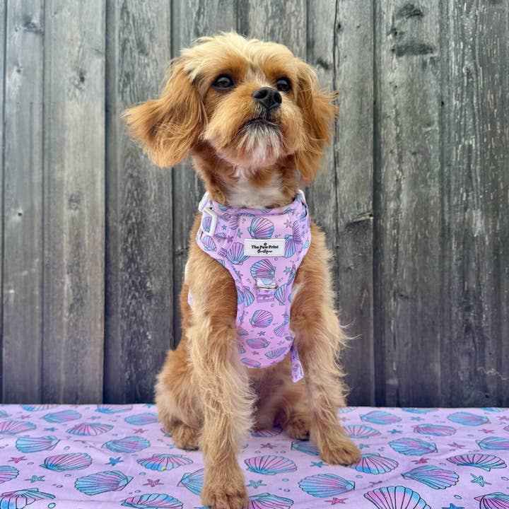 The Paw Print Boutique - Wholesale Pet Harness - Dog - Mermaids Tails Adventure Paws Harness28