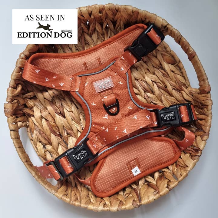 3-Point Adjustable Harness - Autumn Rain for wholesale by Bramble & Co