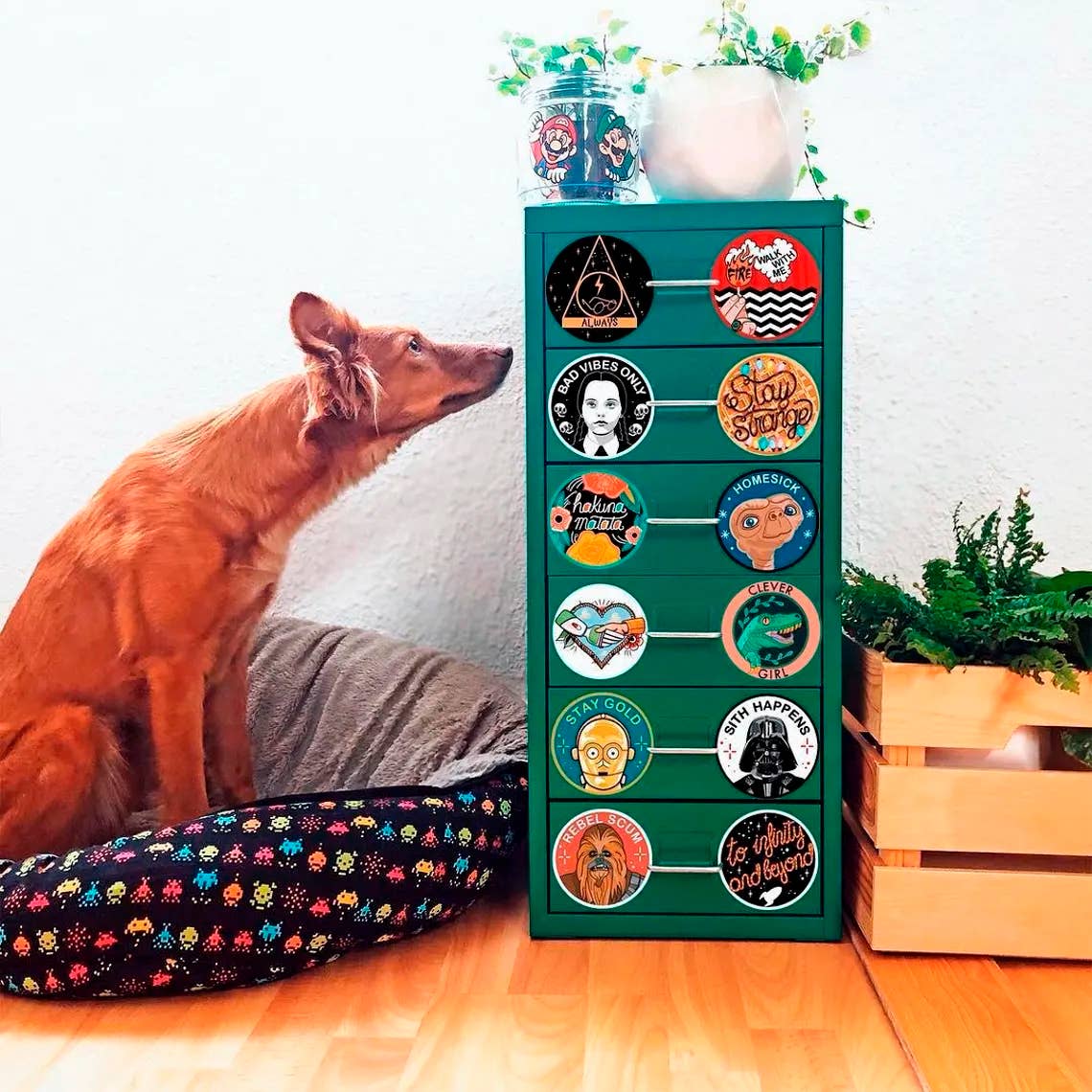 La Barbuda - No U.S. custom fees - Wholesale Sticker - Eres Muy Chu Chu Chuli Train Sticker2