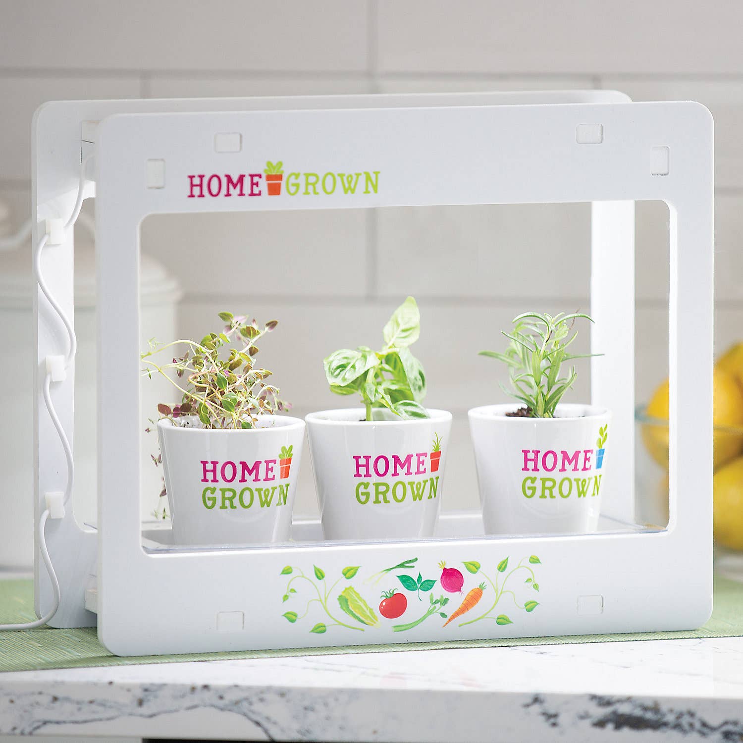 MindWare & Peaceable Kingdom - Wholesale Toy Set - Kids - Home Grown: Aero Growing Lamp3