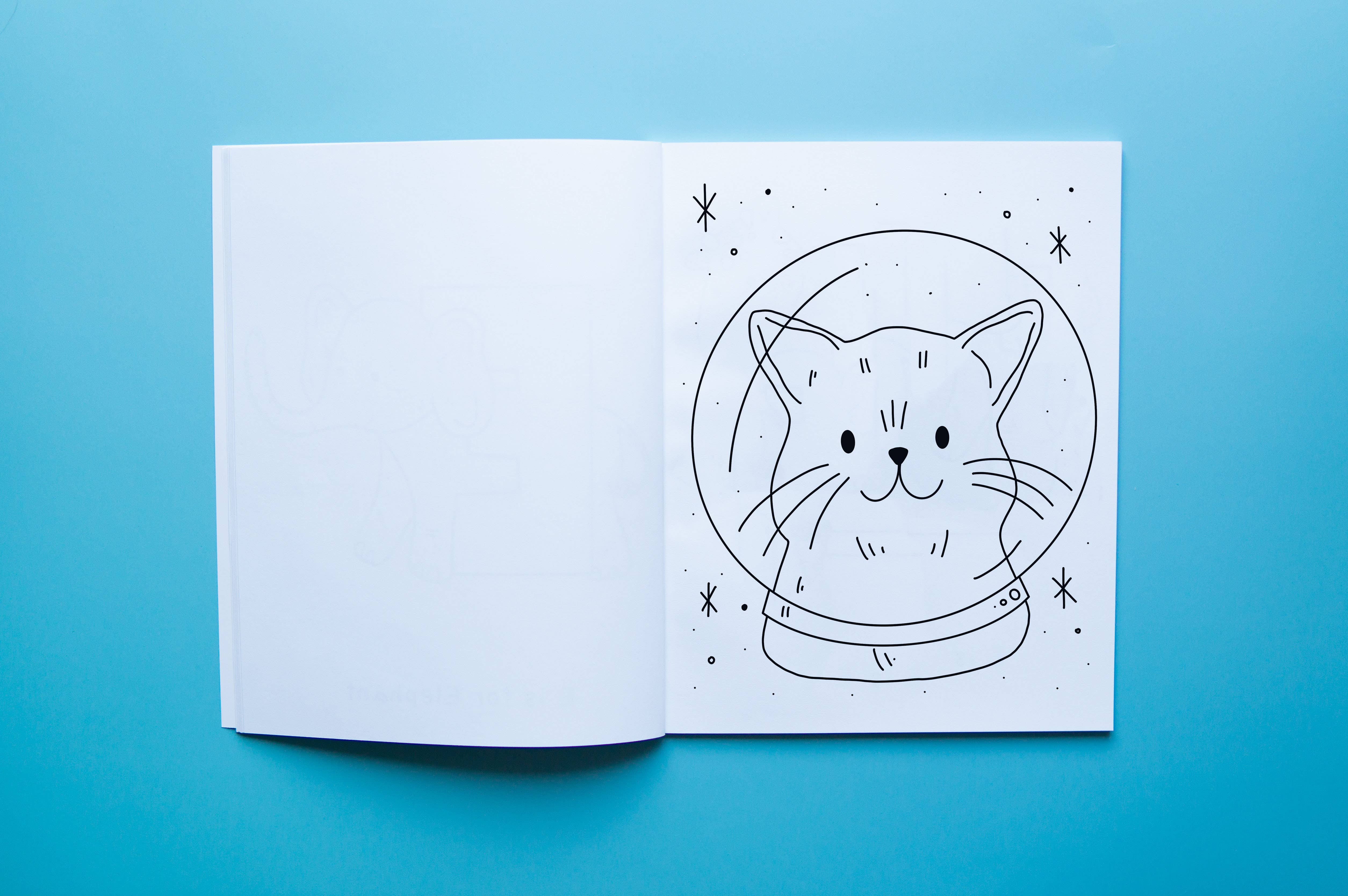 Brown Paper Fox – Livro para colorir - Crianças e bebés por atacado – Gatos no Espaço | Livro de Colorir | Capa Mole | 2ª Edição5
