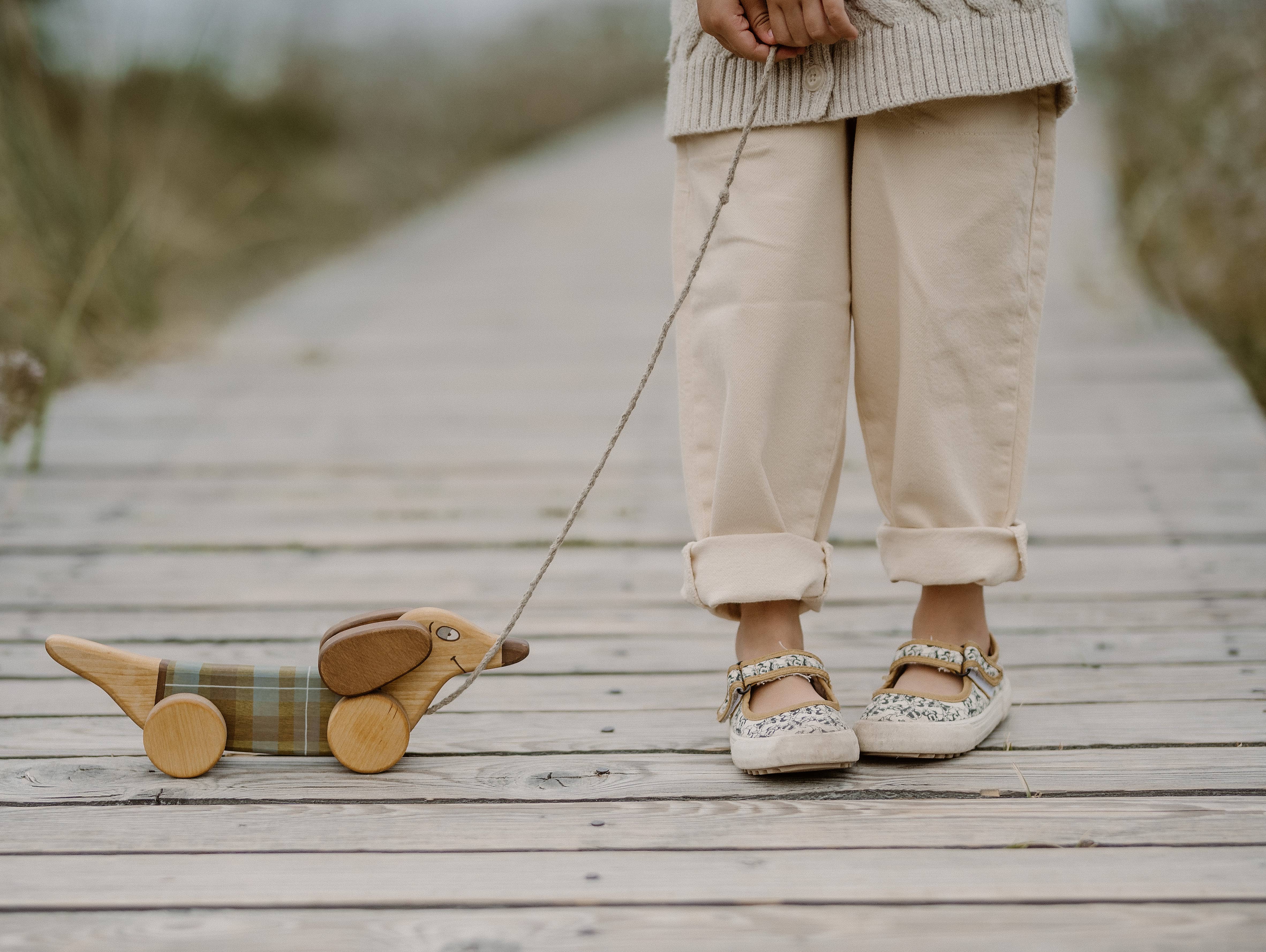 Friendly Toys - Wholesale Wood Toy - Kids - Handcrafted Birch Wood Green Sausage Dog Pull Toy 5