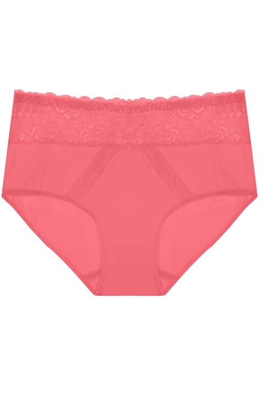 Assorted Color Dual Lace Panels Solid Full Brief-YM-70091-PTY-C04 for wholesale on Faire1