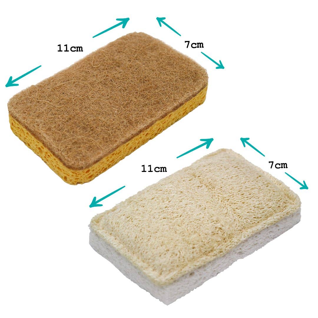 EcoVibe – wholesale Cleaning sponge – Compostable Eco-Scourers & Sponge Bundle3