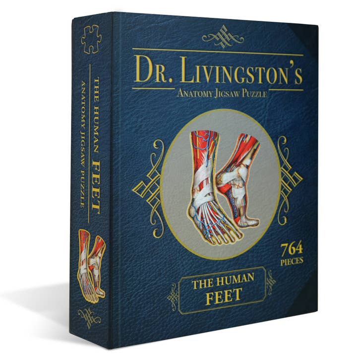 Dr. Livingston's Anatomy Jigsaw Puzzle: The Human Feet for wholesale by Genius Games