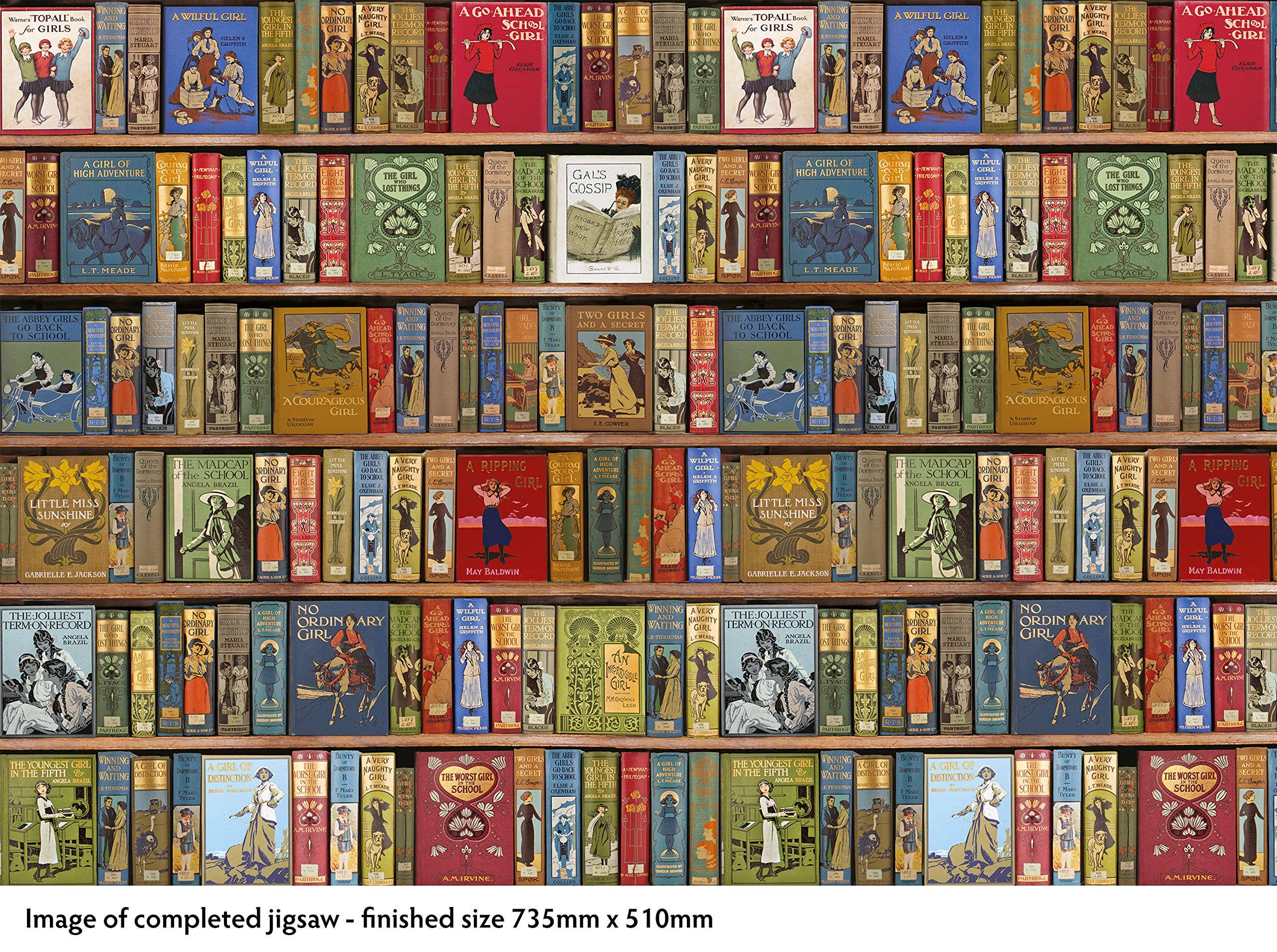 Flame Tree Gift – wholesale Puzzle – Adult – Adult Sustainable Jigsaw Puzzle Bodleian Library1