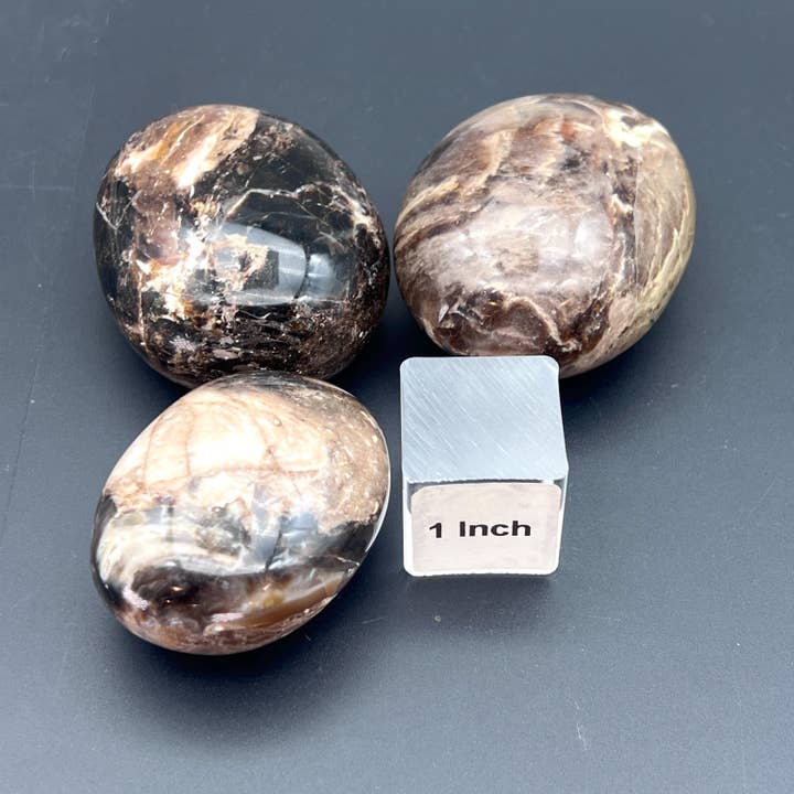 Crystal River Gems LLC - Wholesale Spiritual Stone/Crystal - Black Mixed Moonstone Polished Palm Stone1