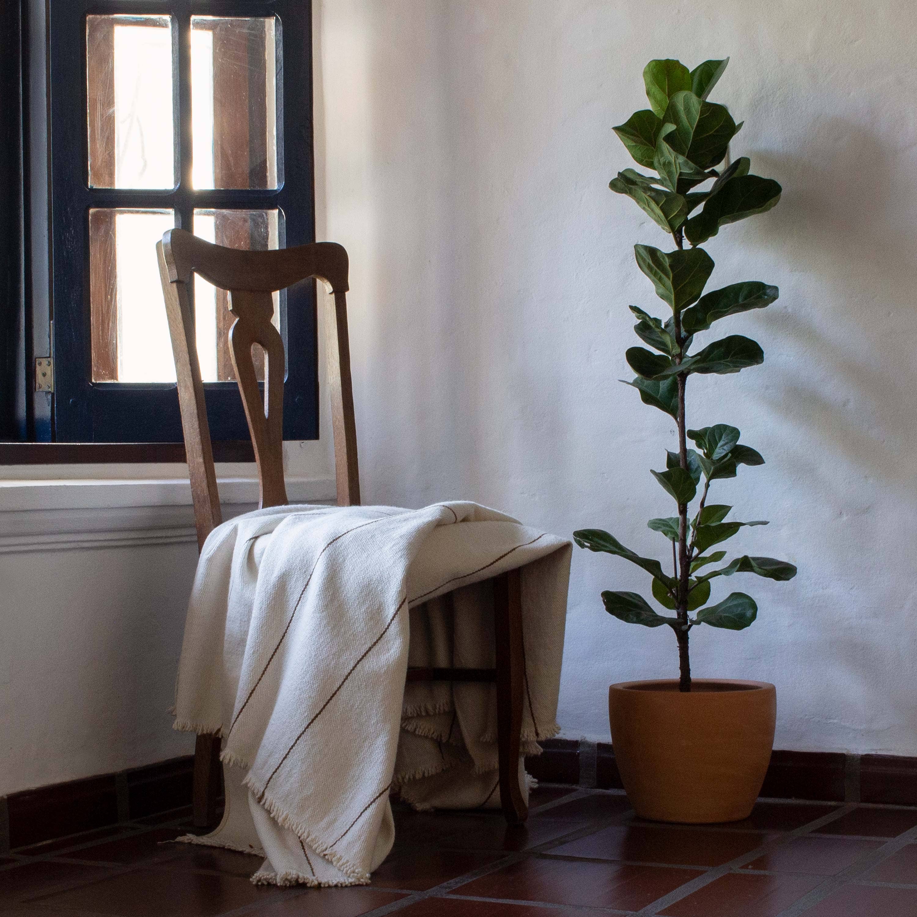 Under The Bough - Wholesale Throw Blanket - Línea Handloomed Cotton Blanket — Sepia1