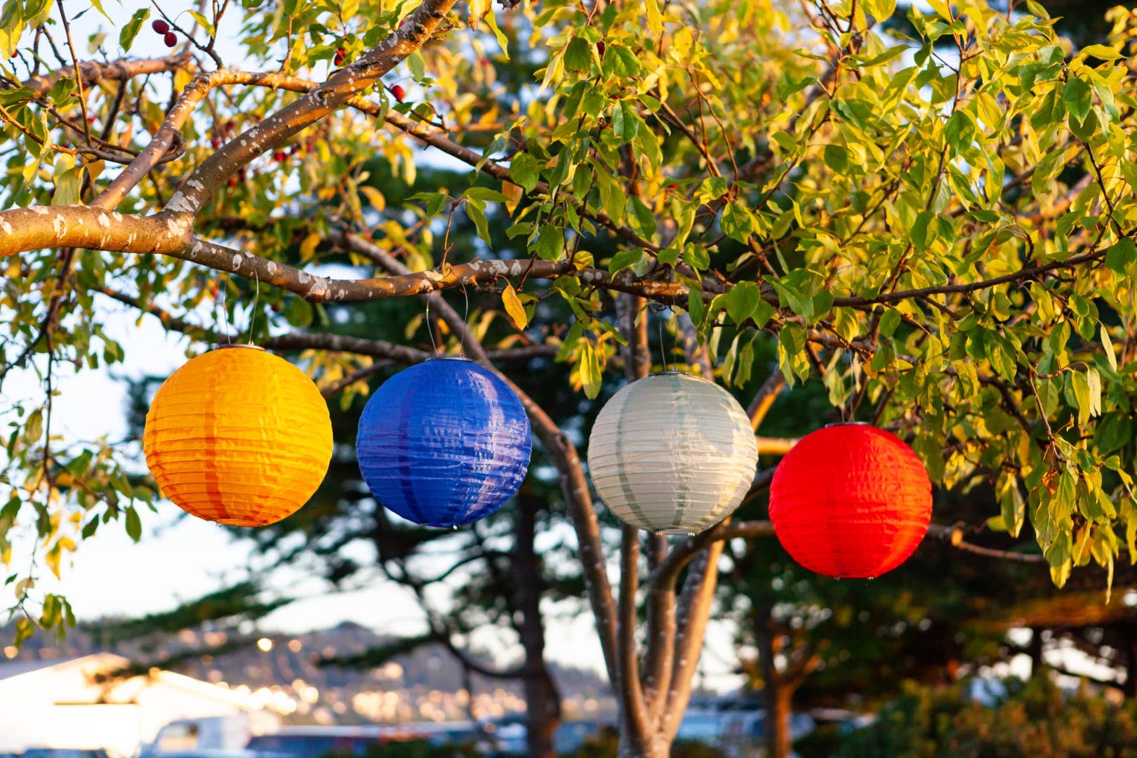 Allsop Home & Garden - Vendita all'ingrosso Luce per esterni/da giardino - Lanterna solare Soji Festival Globe 12" - Blu ceruleo6