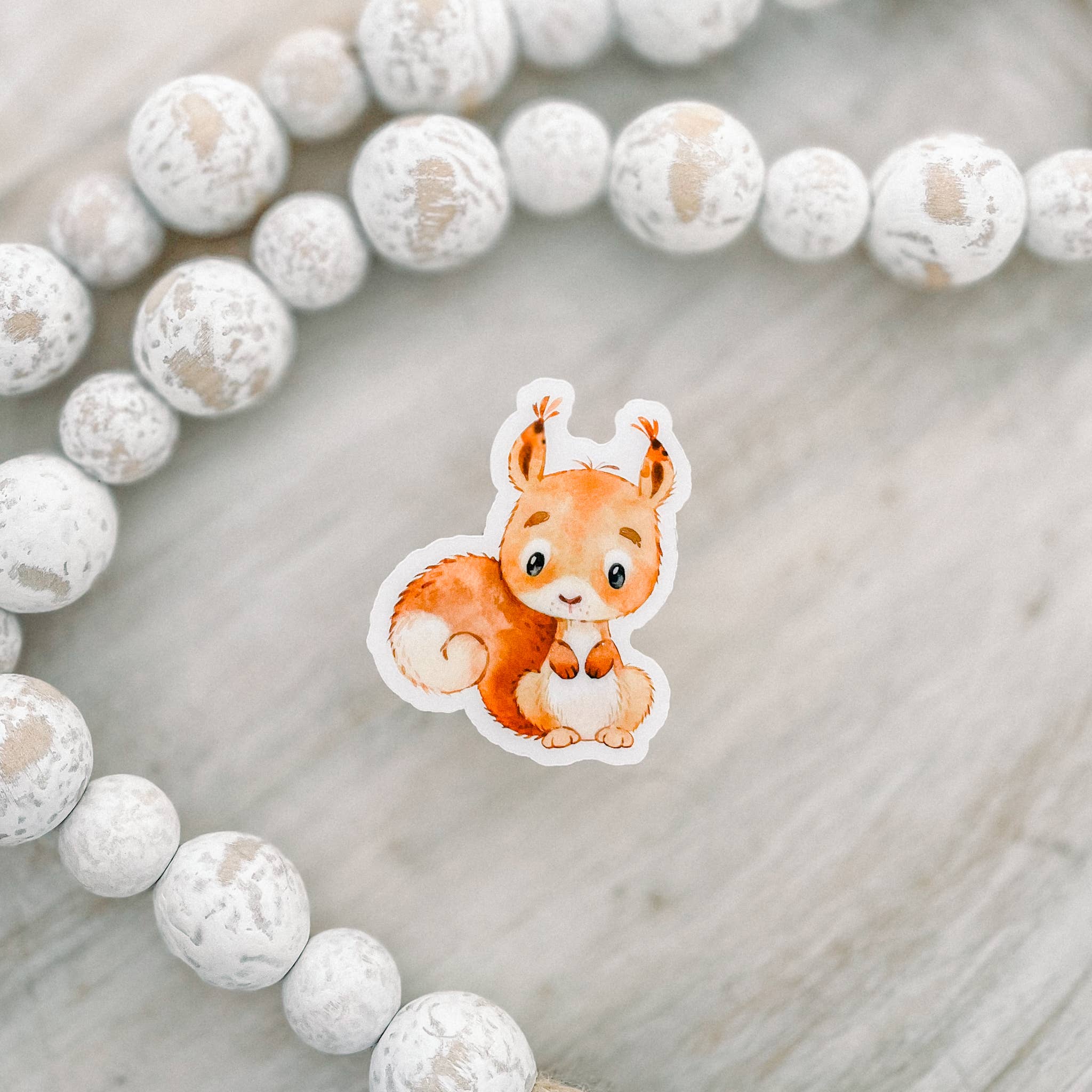 Savannah and James Co - Wholesale Sticker - Cute Little Squirrel Clear Vinyl, Sticker, 2.5 in.1