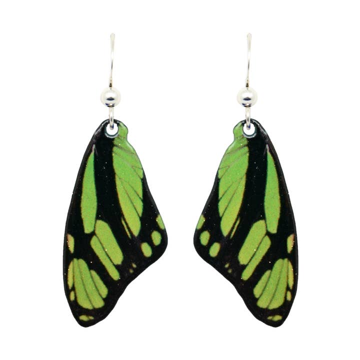 Dido Longwing voor wholesale door d'ears inc.