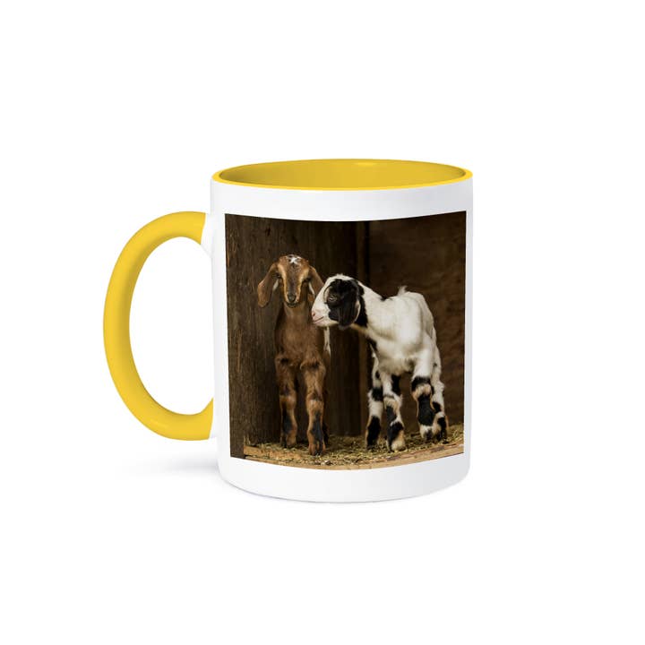 3dRose - Wholesale Coffee Mug - 3dRose, Two Twelve day old mixed breed goat kids., Mug
