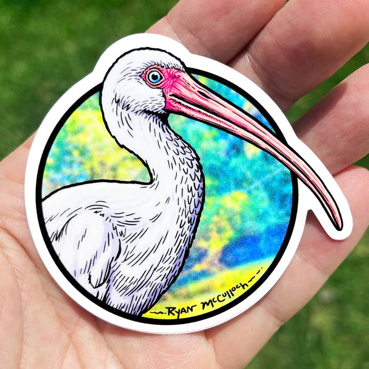 AUTOCOLLANT EN VINYLE : Ibis blanc pour la vente par Ryan McCulloch Art