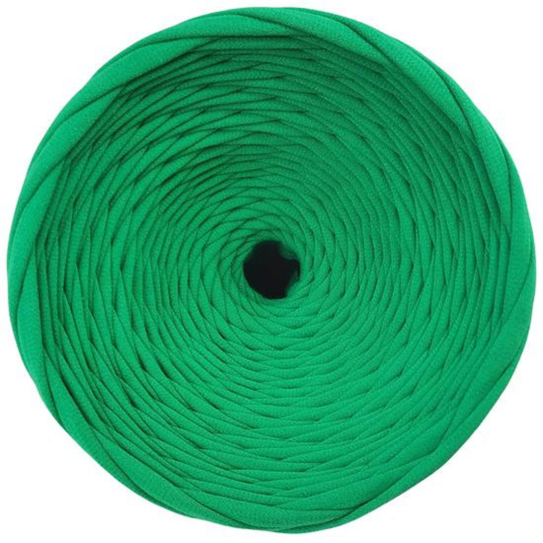 LEANNA YARNS - Wholesale Yarn - GREEN color tshirt yarn, 100-110m, ready to ship.2
