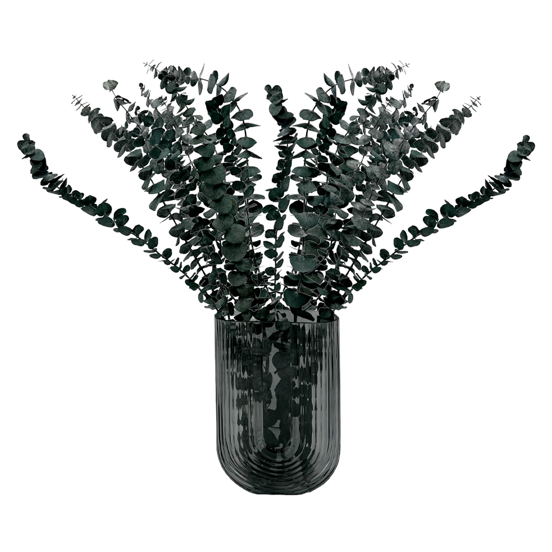 2626 Designs - Vente Fleur séchée/pressée - Feuilles d'eucalyptus petites préservées de 43 à 53 cm de long5