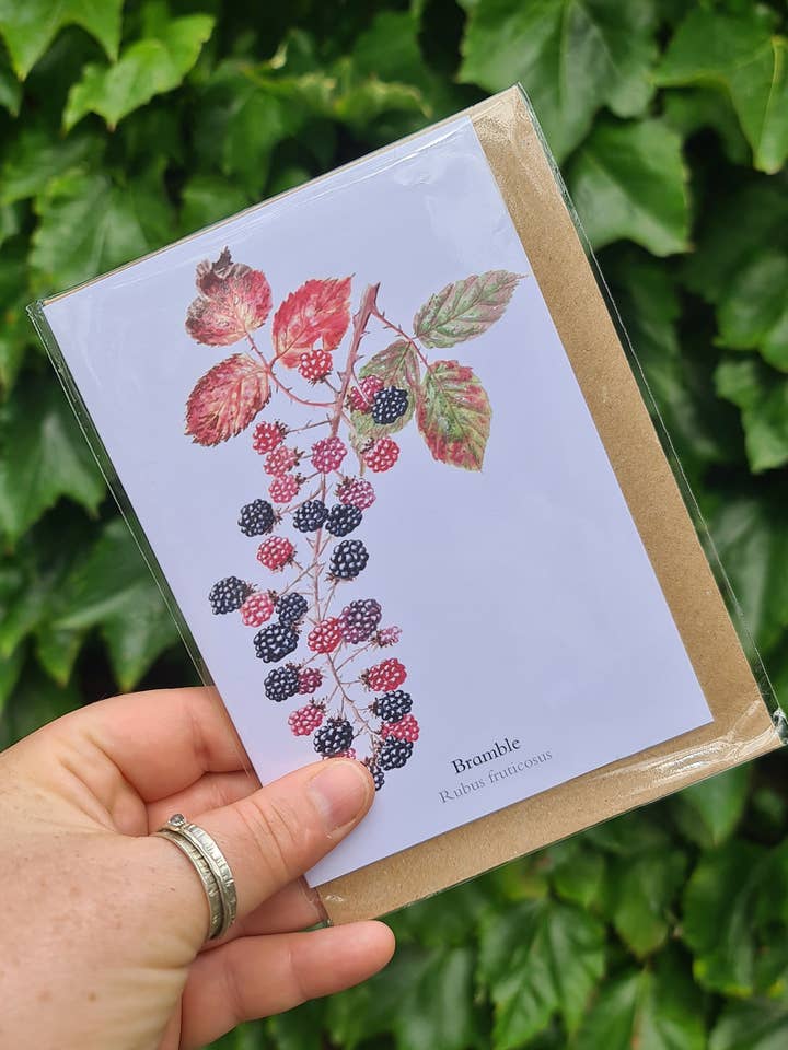 Zarza con Bayas - Tarjeta de Felicitación para venta al por mayor de At the Cherry Tree