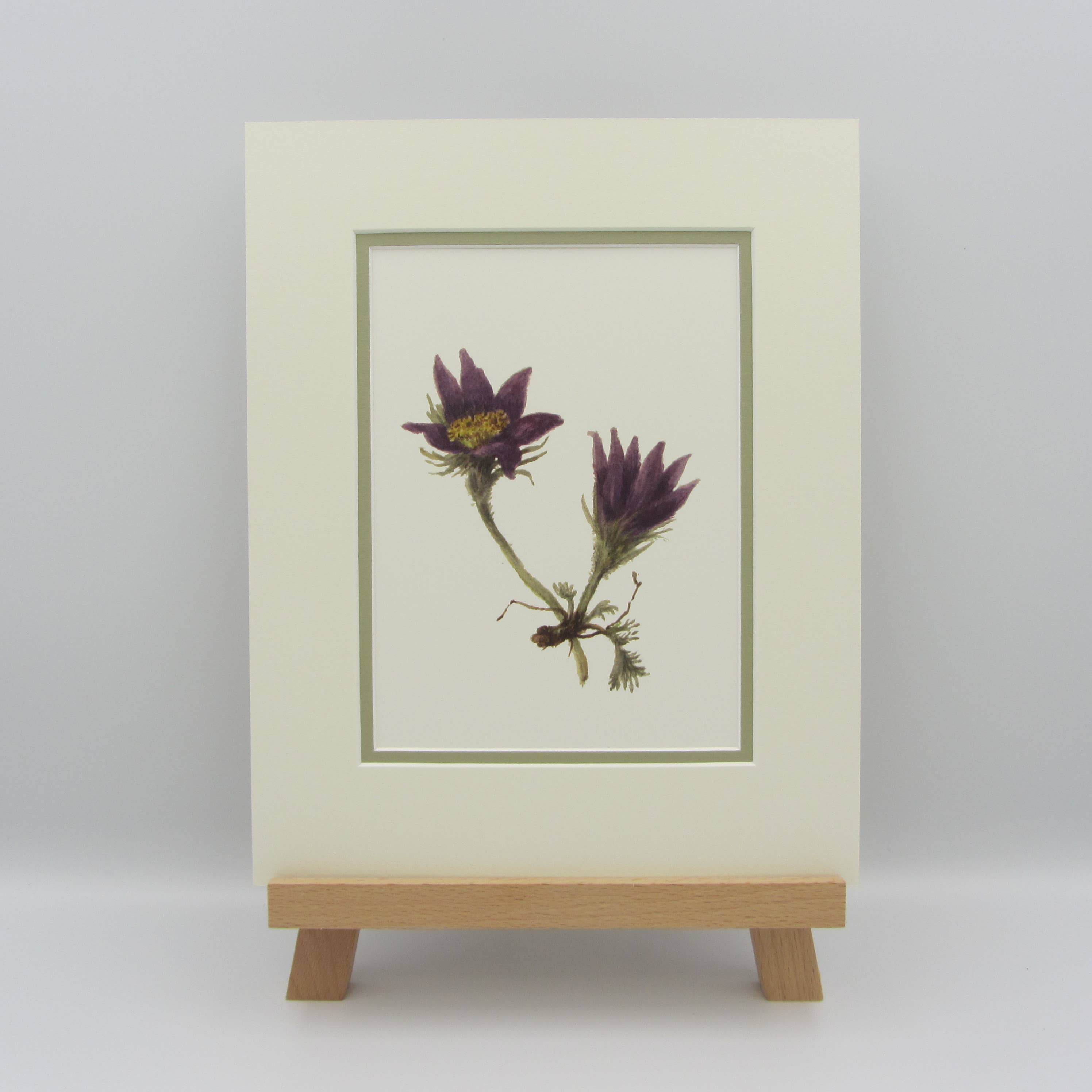 Sophia Davenport - Wholesale Art Print - Wildflower Watercolour Mounted A5 Prints5