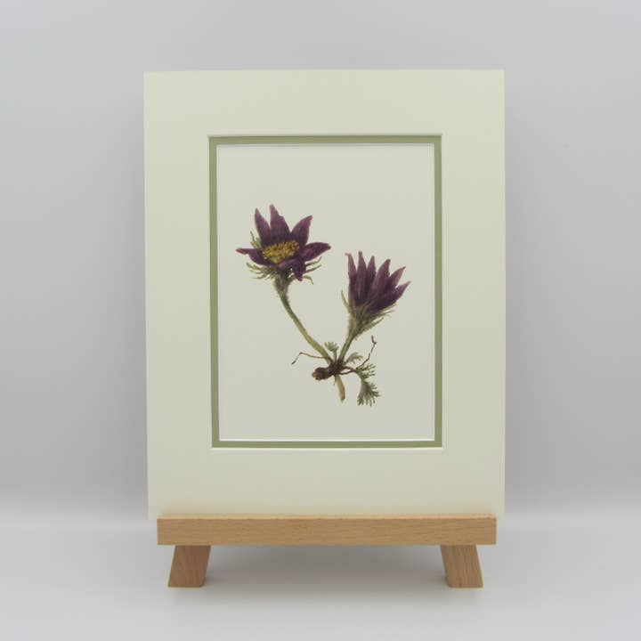 Sophia Davenport - Wholesale Art Print - Wildflower Watercolour Mounted A5 Prints5