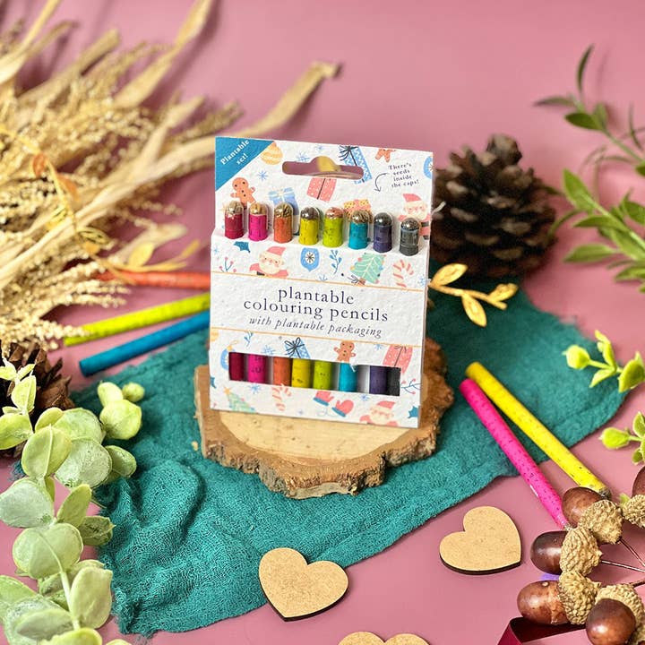 Little Green Gifts – wholesale Coloured pencil – Colouring Pencils - Choice Of Designs (TU-6)12