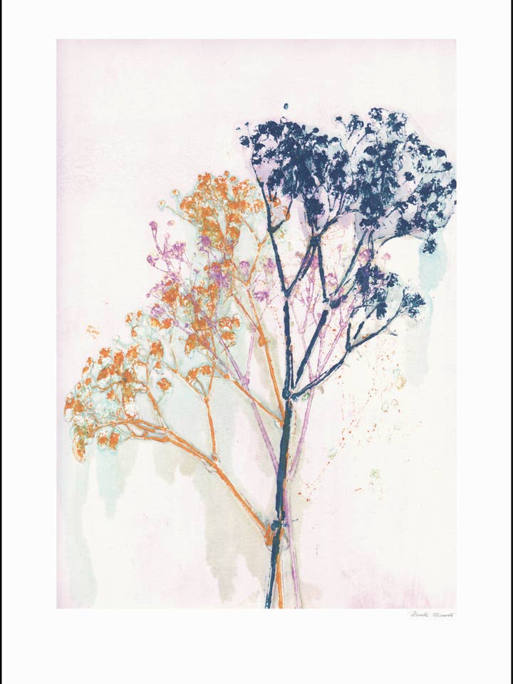 Gypso Mustard/Blue for wholesale by Pernille Folcarelli USA