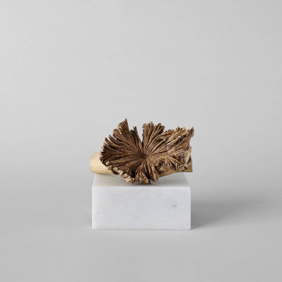 Bloomist – wholesale Dekorativt bordsobjekt – Sällsynt träblomma8