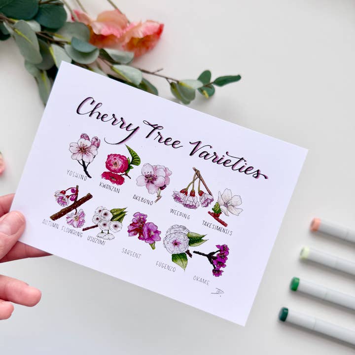 D. Prince Designs - Wholesale Art Print - Cherry Blossom Varieties | Recycled Card Stock Print5