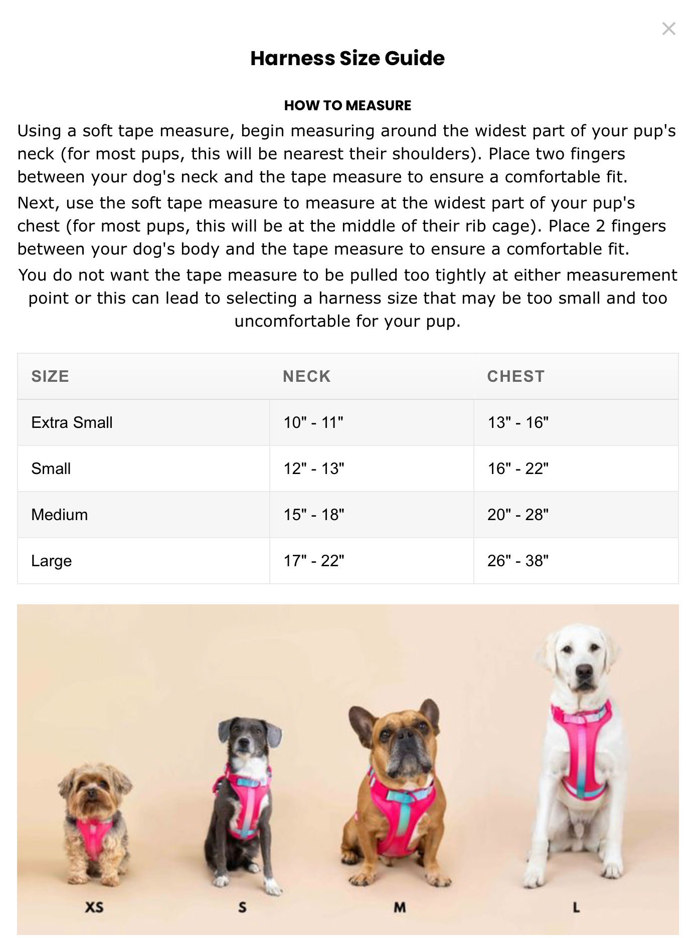 Pink Papyrus | Premium, Durable, & Stylish Dog Products - Wholesale Pet Harness - Dog - Joana Dog Harness | No Pull Dog Harness | Purple Dog Harness11