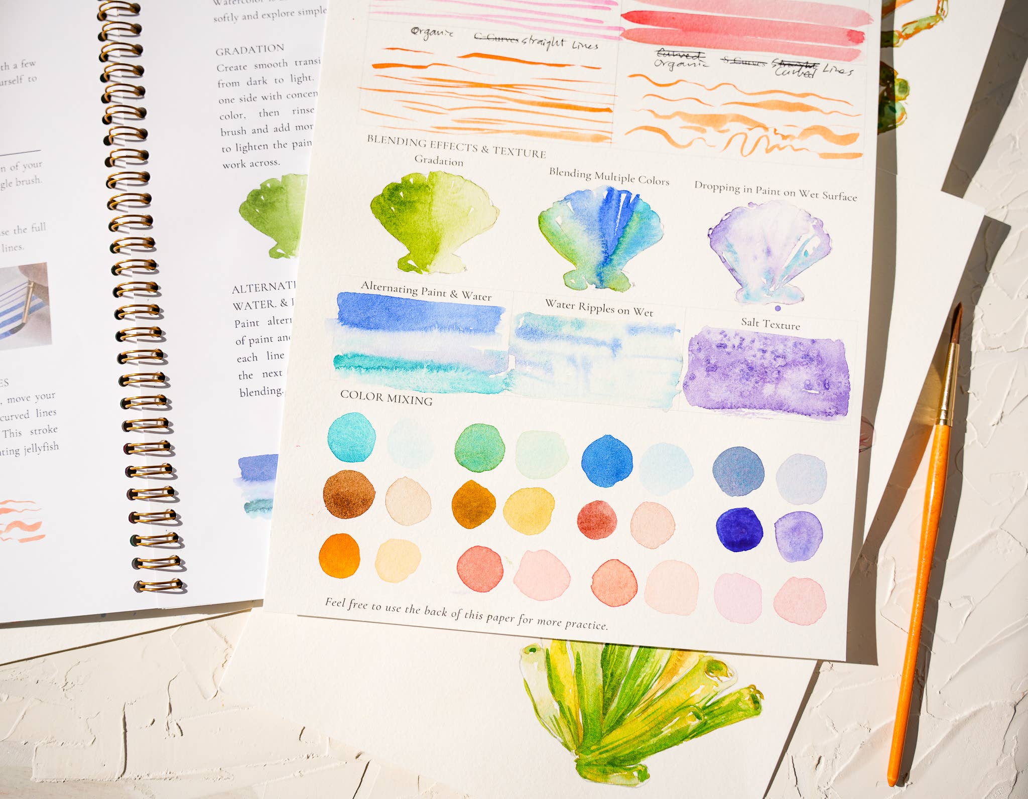 Jean Choe Art & Design - Wholesale Sketchbook/Sketchpad - Watercolor Workbook: Seashores & Ocean Outlined Designs8